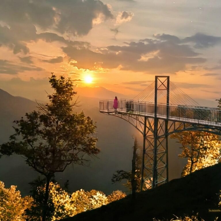 About Wayanad Glass Bridge Attamala