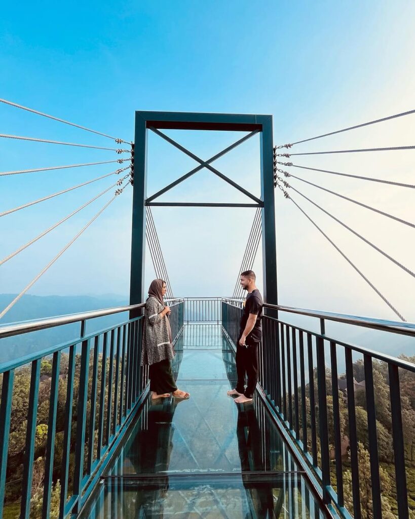 Wayanad Glass Bridge Attamala