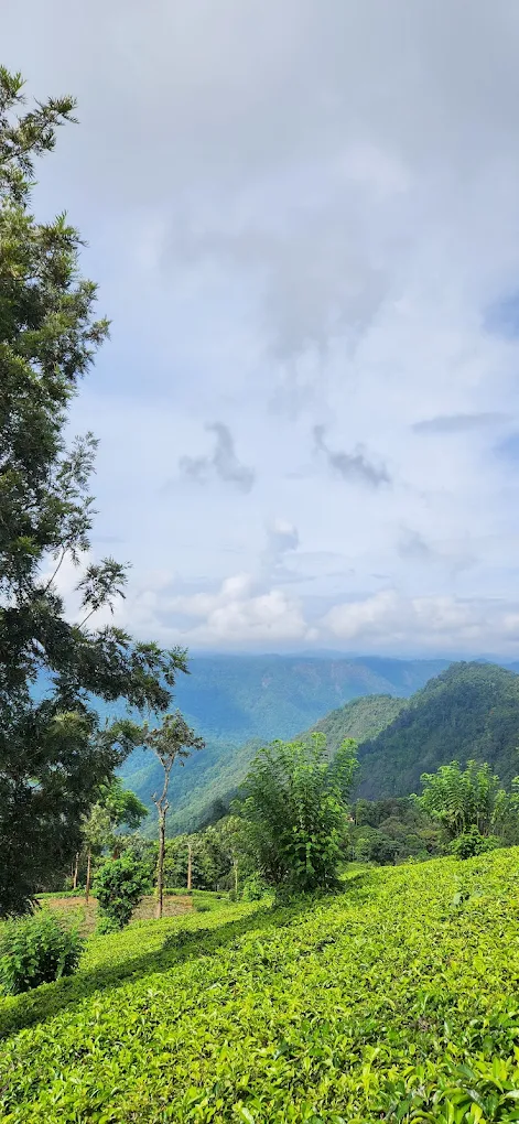 wayanad glass bridge attamala