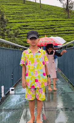 wayanad glass bridge attamala