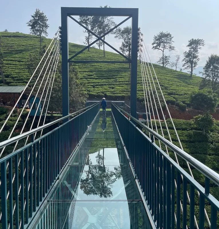 attamala 4