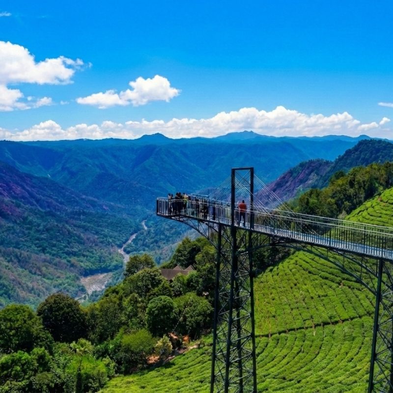 book Wayanad Glass Bridge Attamala